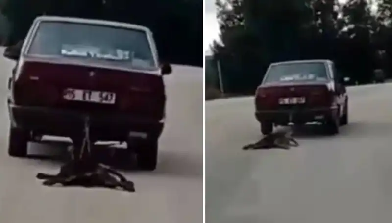 Otomobilin Arkasında Bağlı Köpek Şoku: Sürücünün Dikkatsizliği Büyük Tepki Topladı