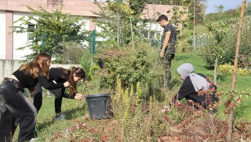 Düzce’nin Hayali: Dünyaca Ünlü Bir Markanın Doğuşu