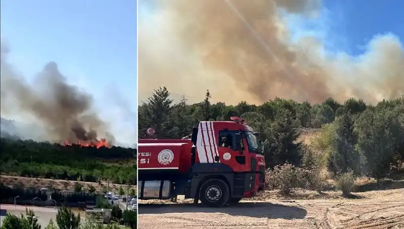 Gebze'de Korkutan Orman Yangını: Yangının Sebepleri ve Sonuçları Neler?