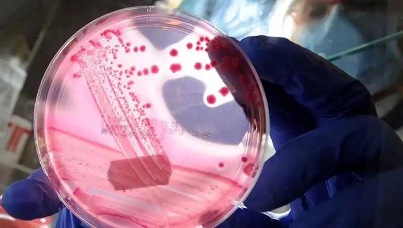 Bilim İnsanları AP2A1 Proteini ile Yaşlanmayı Yavaşlatmanın Yolunu Buldu