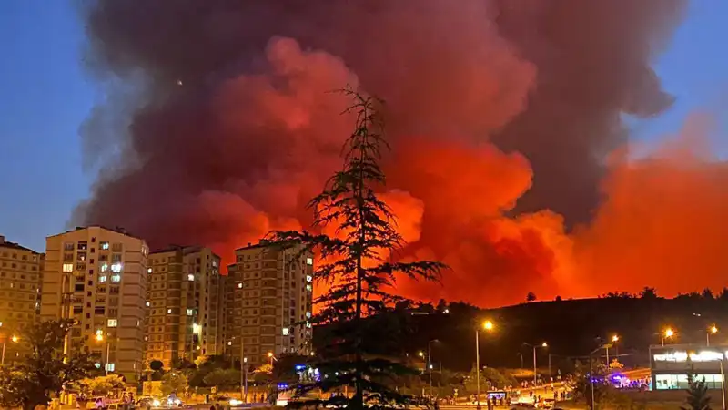 Bursa'da Yangınlar Şehri Tehdit Altına Alıyor: Neler Oluyor?