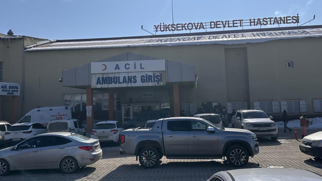 Hakkari'de köpek saldırısında hayatını kaybeden çocuk