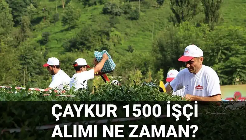 Çaykur İşçi Alımı Başvuru Tarihleri ve Son Durum Detayları Açıklandı!