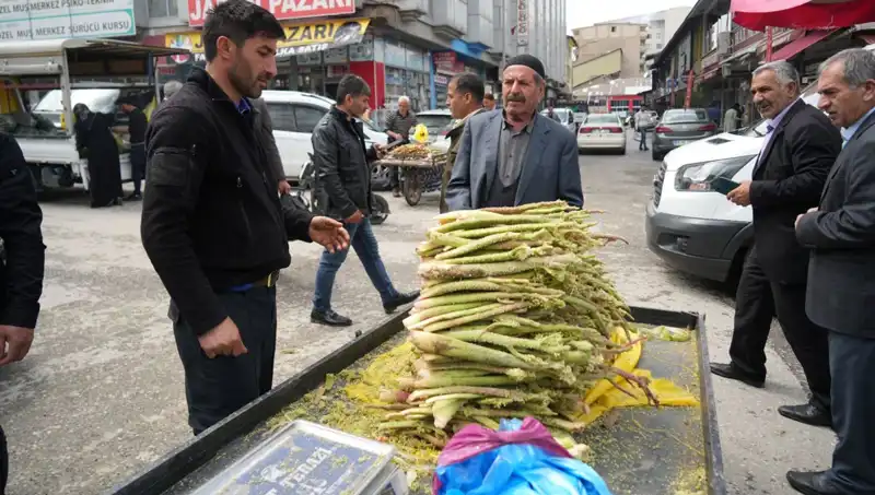 Dağlarda Toplanan Şekerin Sağlık Faydaları: Mide ve Kanser Üzerindeki Etkileri
