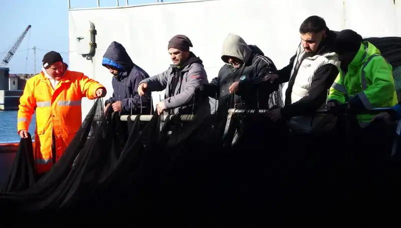 Hamsi Avı Sonlandırıldı: Balıkçı Tekneleri Erken Dönüş Yaptı