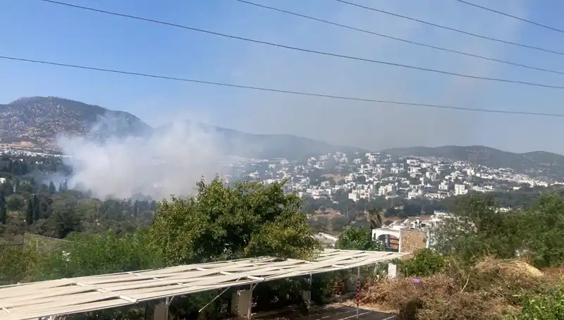 Muğla Orman Yangınları Kontrol Altına Alındı: Son Durum ve Gelecek Adımlar
