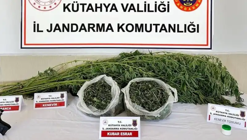 Kütahya'da Uyuşturucu Operasyonu: Güvenlik Güçleri Bir Kişiyi Yakaladı