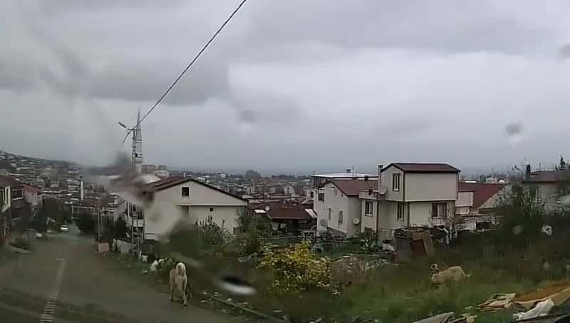 Sahipsiz Köpeklerin Saldırısında Küçük Çocuk Ağır Yaralandı!
