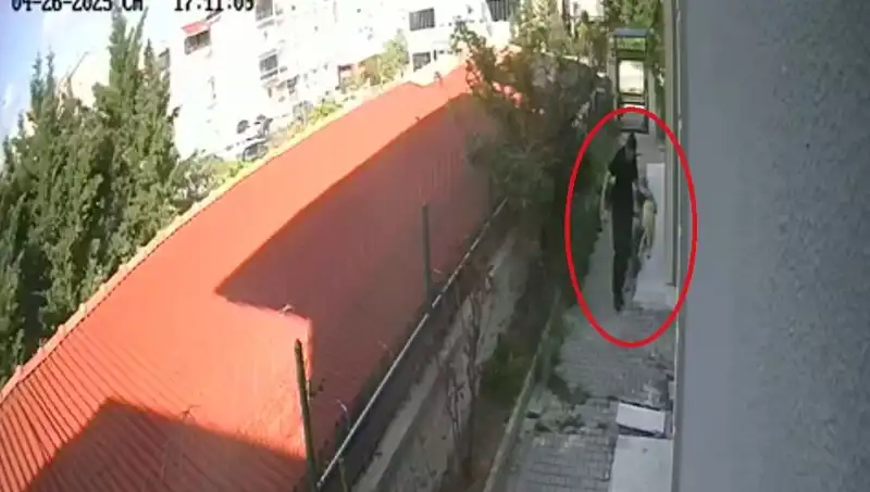 Veteriner Doktorun Şok Edici Hayvan İstismarı: Tutuklandı!