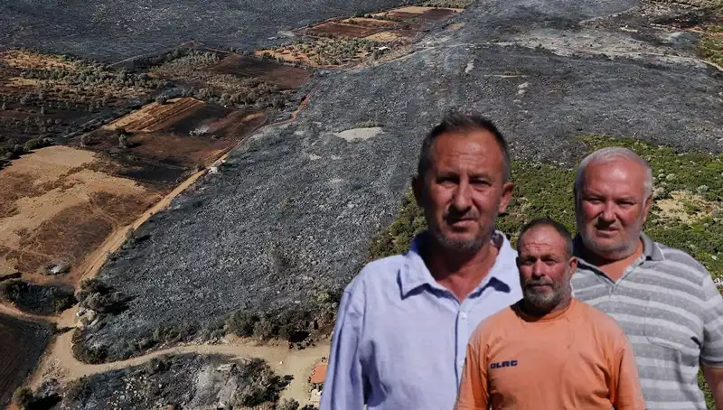 Çeşme Yangını: Tahrip Edici Felaketin Ardında Kalan Dram