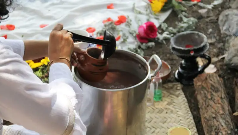 Ayahuasca: Geleneksel İçki mi, Zihinsel Yolculuk mu? Herkesin Bilmesi Gerekenler