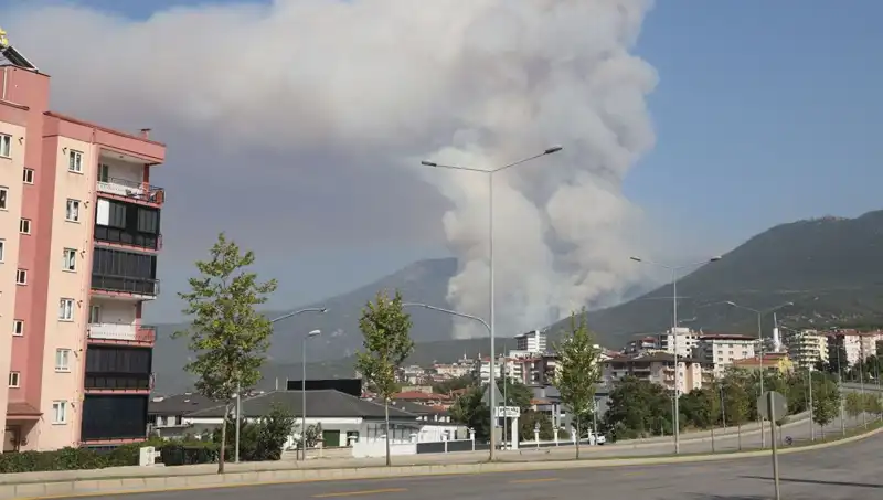 Denizli'deki Orman Yangınında Bir Şüpheli Gözaltına Alındı, Halk Endişeli