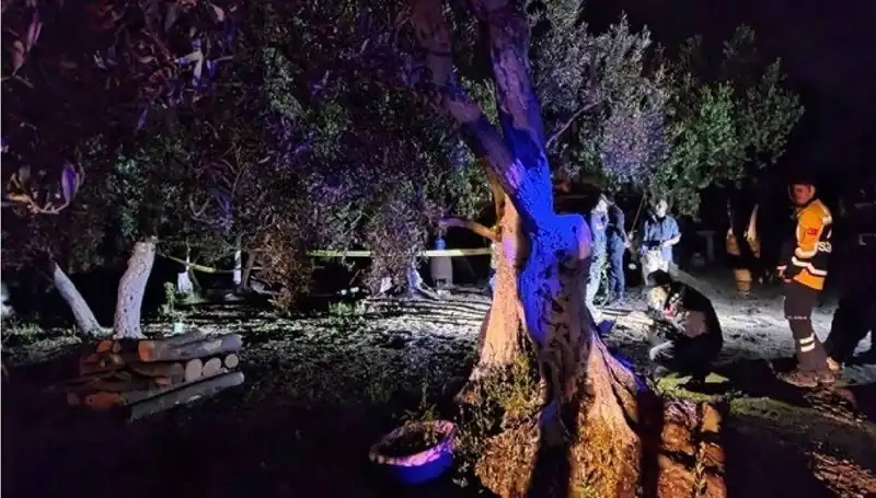 Çiftlikte Baltalı Vahşet: Sır Perdesi Aralandı, Tutuklama Gerçekleşti
