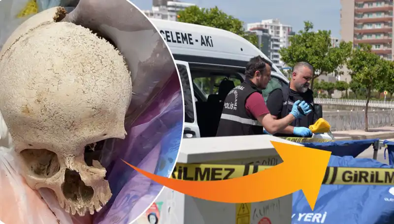 Sitenin Çöpünden Çıkan Kafatası: Uzman Doktor Gözaltına Alındı!