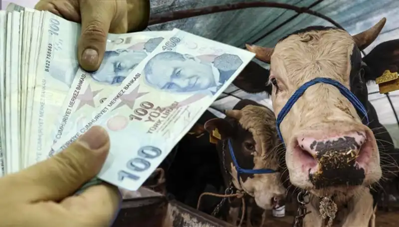 Memur ve Emekli Maaşları Bayram Öncesi Yatacak mı? Cevaplar Geldi!