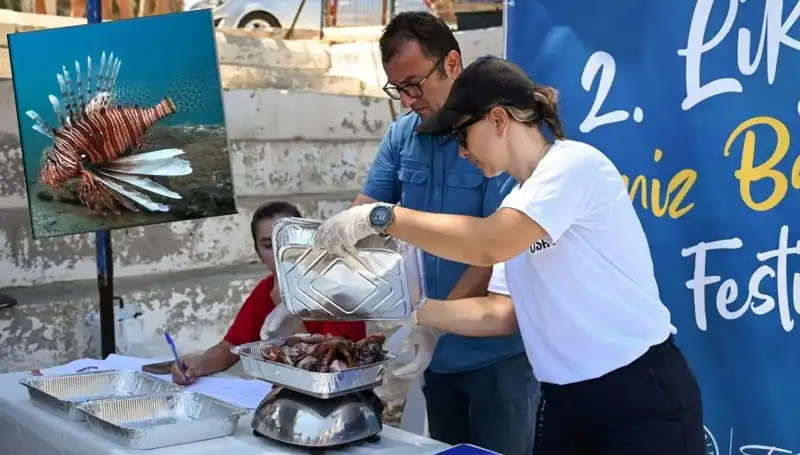 Antalya'da İstilacı Aslan Balığı Avlama Yarışması: Rekabet ve Eğlence Dolu Bir Gün
