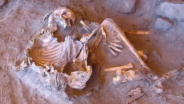 Yeni Mumya Keşfi: İnsanlığın Soy Ağacındaki Değişim Nereye Gidiyor?