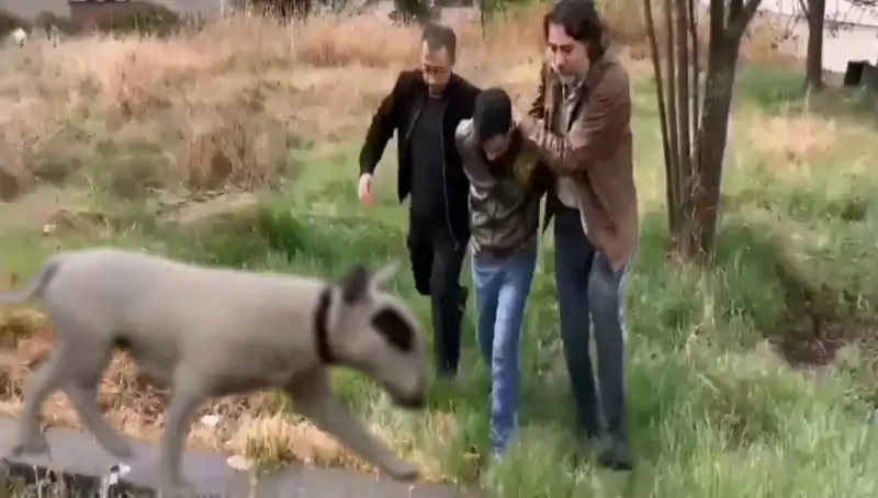 430 Bin Lira Değerindeki Şampiyon Köpeğin Çalınması Olayında Şok Gelişme