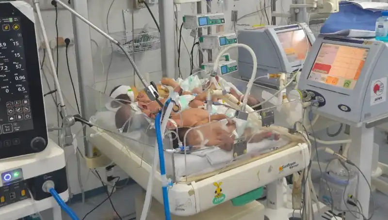 Gazze Hastanelerinde Çaresizlik: Bebekler için Tek Kuvöz Mücadelesi