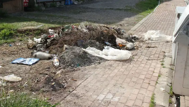 Antalya’da Gizemli Vahşet: 10 Kedi Ölü Bulundu, Soruşturma Başlatıldı