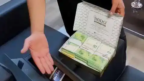 Manavgat Belediyesi'nde Şok Operasyon: Baklava Kutusunda Bulunan Avrolar