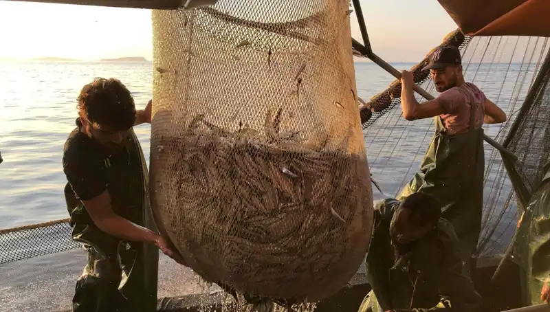 Balıkçılar Paydos Ediyor: İhlal Edenlere Binlerce Lira Ceza Geliyor