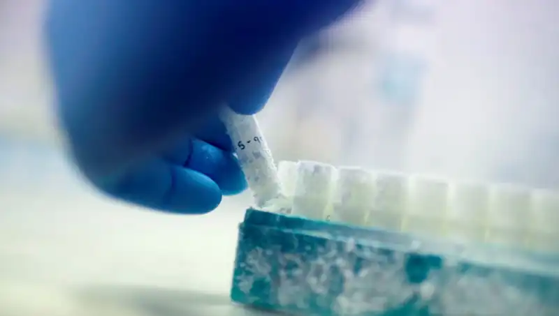 Türkiye’nin Tıbbi Felaketinin Ardındaki Gerçekler: 85 Sperm Donörü, Binlerce Çocuğa Baba Oldu!