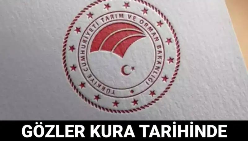 Orman Genel Müdürlüğü’nden Beklenen Kadro: İşçi Alımı Kurayı Ne Zaman Yapacak?